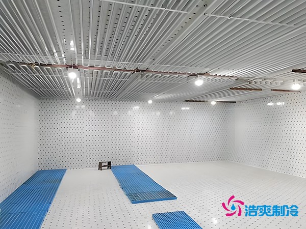 建设一个海鲜低温冷库造价多少钱一平方？