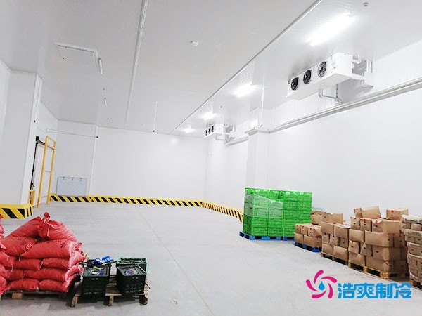 建造一个800平方米的食品冷库需要多少费用呢？