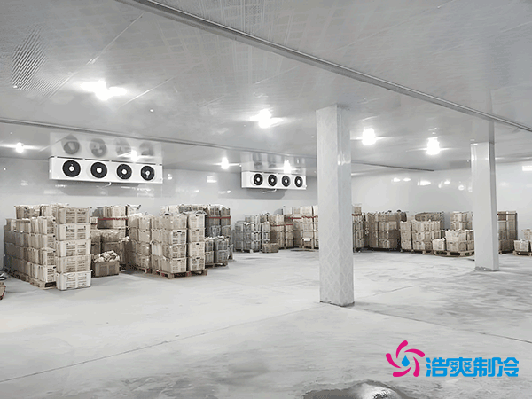 5000吨大型冷库造价