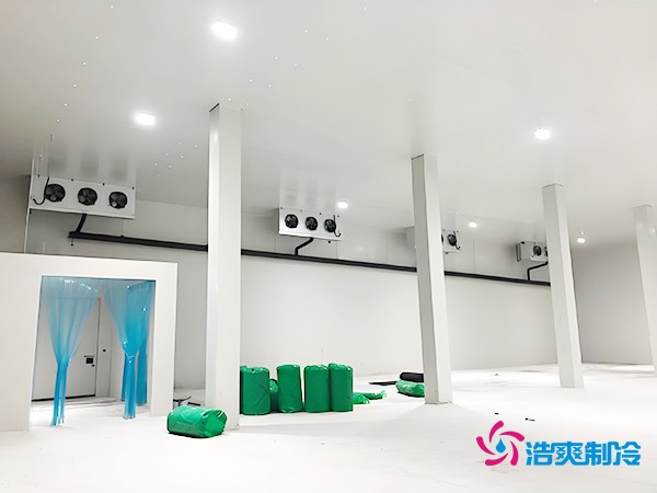红酒冷库造价