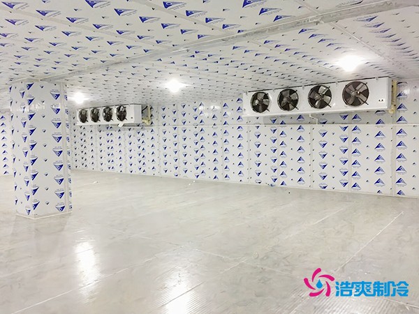 双温冷库建造价格