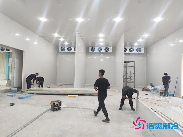 20000平米冷库造价