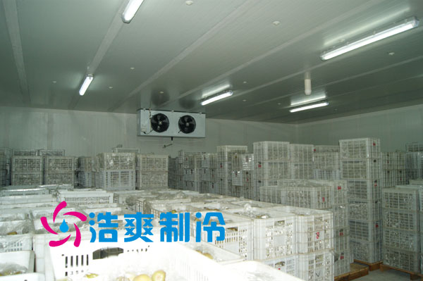 冷库