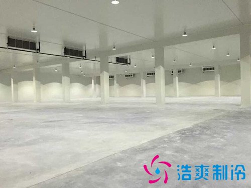 建造4500平米食品冷冻库安装，冷库价格多少