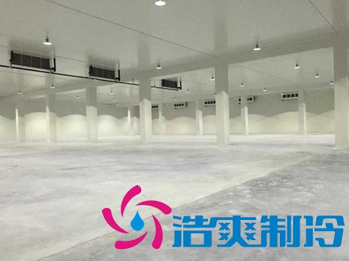 大型果蔬农产品物流冷库,冷藏库建造及运营成本预算