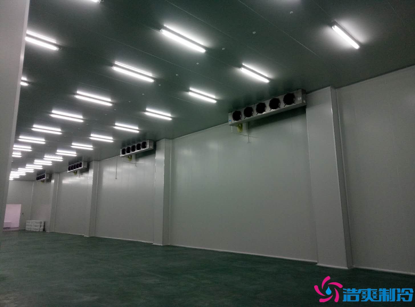 深圳金瑞凯利生物建造100㎡高标准医药冷库(冷冻冷藏库)工程案例