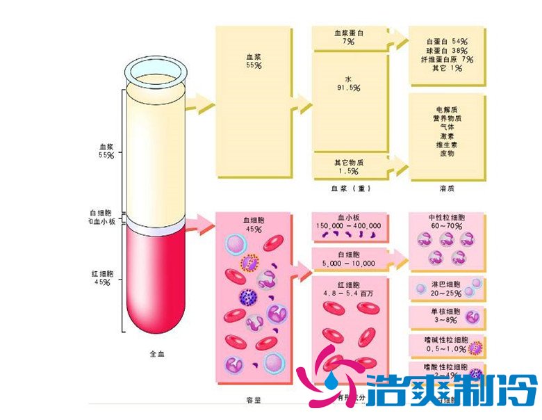 -30℃~-80℃血浆蛋白低温冷冻库规范,冷库安装价格