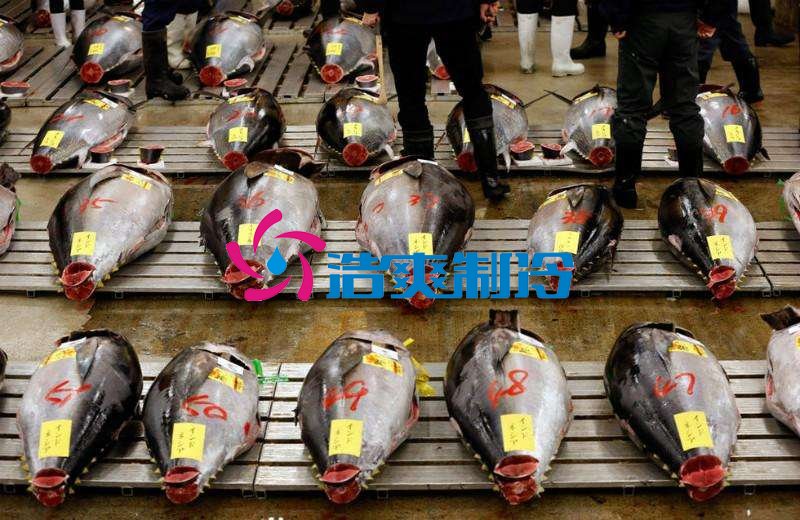 浩爽制冷,金枪鱼冷库,超低温冷冻库