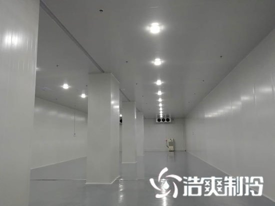 大型物流仓储冷库